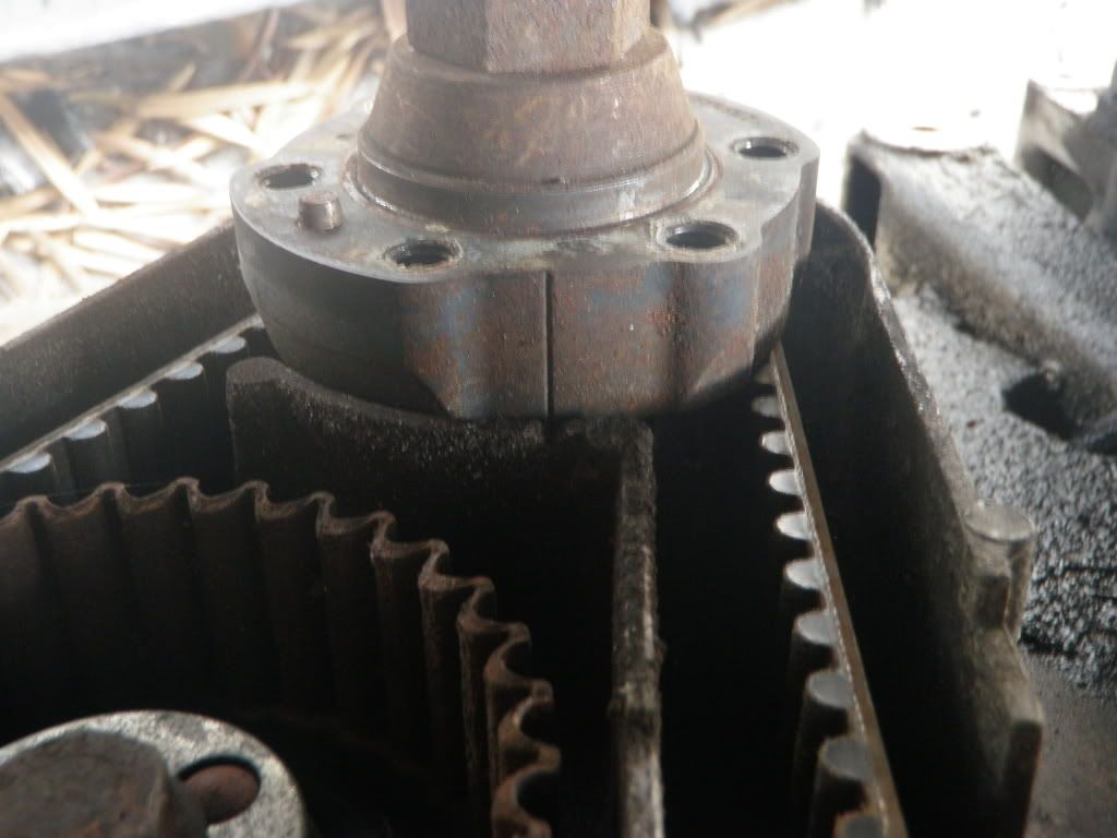 The Great Big M20 Timing Belt DIY E30 Performance